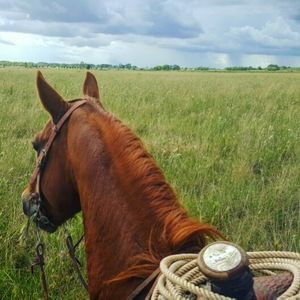 Meet your Posher, Patrick